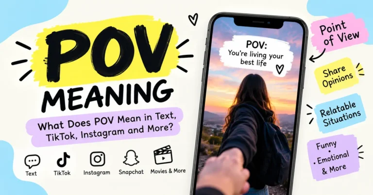 POV Meaning